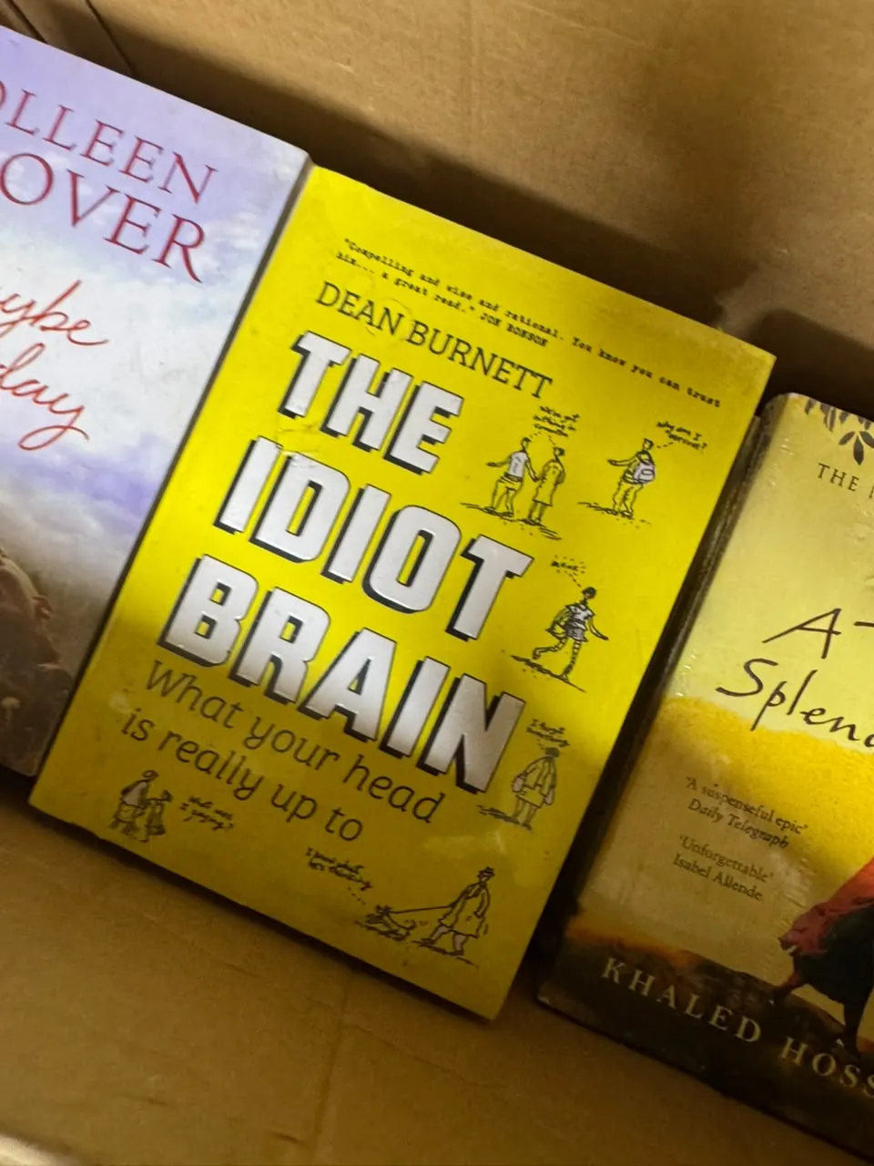 The Idiot Brain: What Your Head Is Really Up To