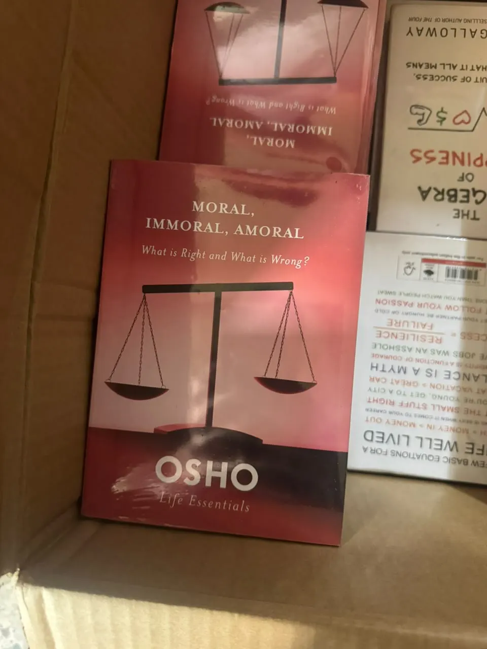 Moral, Immoral, Amoral: What Is Right and What Is Wrong?