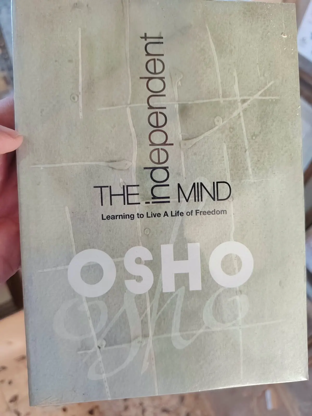 The Independent Mind: Learning to Live a Life of Freedom