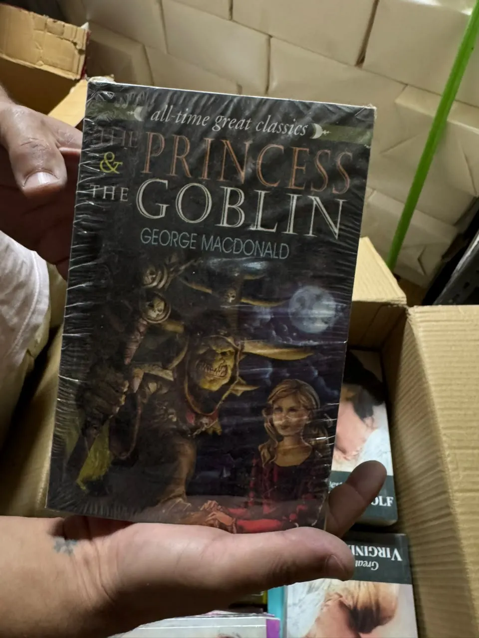 The Princess & the Goblin